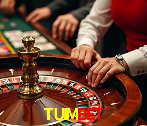 Interface do Aplicativo TUIMBET - Design Premium e Intuitivo
